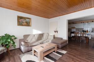 a living room with a couch and a table at Apartment Milan in Senj