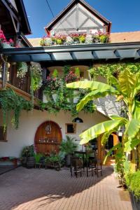 Zahrada ubytování Gîte TIRE BOUCHON + 21 fotografií