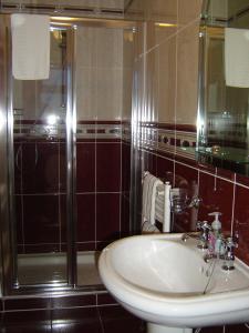 y baño con lavabo y ducha. en Alverna House B&B, en Athlone