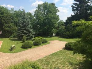 a path in a garden with bushes and trees at Anonim apartman in Villány