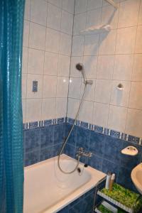 a bathroom with a shower with a tub and a sink at Danarent Apartment in Vilnius