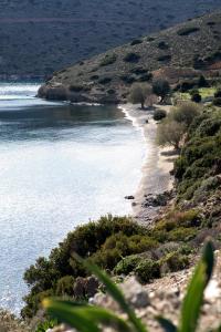 uma praia numa colina com água e árvores em Themelina Studios em Emborios