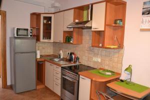 una pequeña cocina con nevera y fregadero en Danarent Apartment, en Vilna