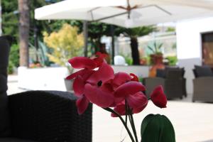 Zahrada ubytování Ranch Palace Hotel