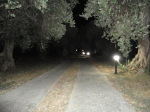 Fotografie z fotogalerie ubytování Liossis Rooms & Apartments v destinaci Skopelos Town