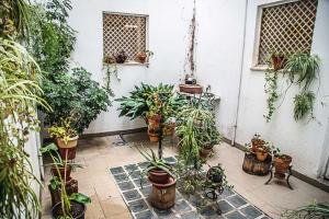 um monte de vasos de plantas num pátio em Hostal Goya II em Carbonero el Mayor