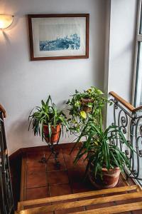 Kép Hostal Goya II szállásáról Carbonero el Mayorban a galériában