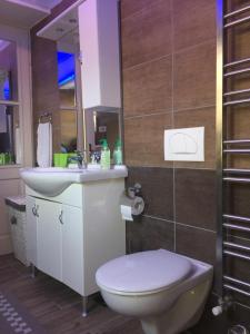 a bathroom with a toilet and a sink at Apartment Thomas in Vipava +35 photos