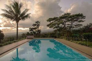 a swimming pool with a palm tree in the background at Cabinas Lindo Horizonte in San Pedro