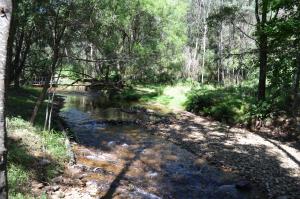a stream in the middle of a forest at Mountain View Holiday Retreat in Harrietville