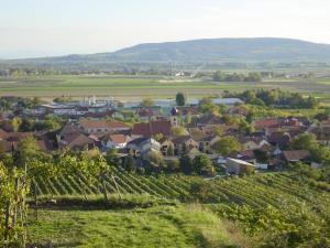 a small village in a vineyard with houses and trees at Weingut und Gästehaus Berger in Gedersdorf