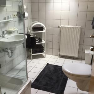 a bathroom with a toilet and a sink and a shower at Haus am Waldrand in Birkenhördt