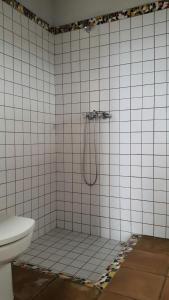a shower in a tiled bathroom with a toilet at Castillo Gualisancho in Echedo