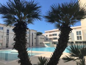 two palm trees in front of a swimming pool at Hotel Terme Marine Leopoldo II TERME & SPA in Marina di Grosseto