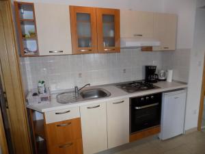 Kuchyň nebo kuchyňský kout v ubytování Vacation apartments Feniks