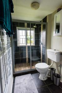 a bathroom with a toilet and a shower with a window at Beach Cottage in Kleinmond