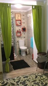 a bathroom with a toilet and a green curtain at Villa Santo Antonio in Serra do Mouro +33 photos
