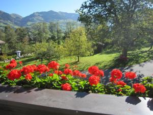 Vista generica sulle montagne o vista sulle montagne dall'interno of country house