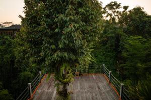 Fotografie z fotogalerie ubytování B Saya Villas v Ubudu