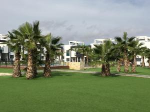 une rangée de palmiers devant un bâtiment dans l'établissement Apartment OasisBeach La Zenia, à Playas de Orihuela