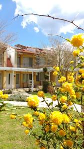 a house with yellow flowers in front of it at Zora Camping - Bungalows in Obzor +45 photos