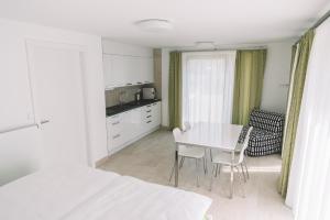 Kuchyň nebo kuchyňský kout v ubytování Apartmány v rodinném domě + 7 fotografií