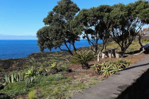 Afbeelding uit fotogalerij van Casa d'Avó Francisco in Madalena