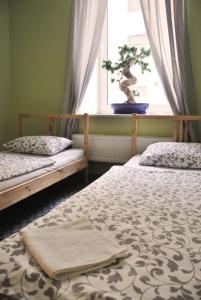 1 dormitorio con 2 camas y una ventana con un bonsái en LikeHome Hostel, en San Petersburgo