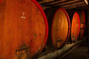 Fotografie z fotogalerie ubytování Gîte FLEUR DE VIGNES v destinaci Itterswiller
