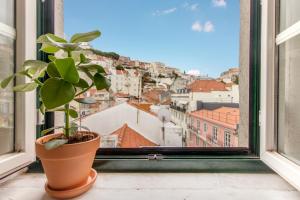 a potted plant sitting on a window sill with a view at Casa Mouraria in Lisbon