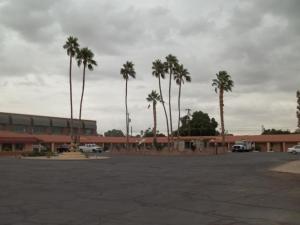 a parking lot with palm trees in front of a building at Hacienda Motel in Yuma