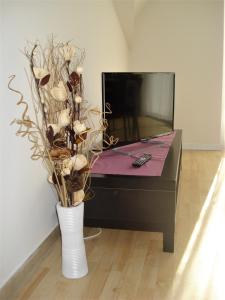 a vase with flowers in front of a tv at Boschetto in Riva del Garda