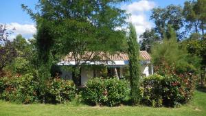 una casa en medio de unos arbustos en Domaine du Planas AILHON ARDECHE, en Ailhon