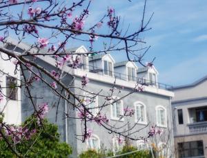 Het gebouw waarin de homestay zich bevindt