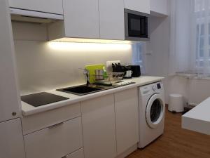 ブダペストにあるRenaissance Studio Apartmentの白いキッチン(洗濯機、シンク付)