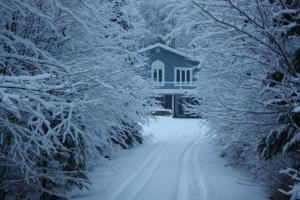 una casa en una carretera nevada con árboles nevados en Chalets et Studios Le Vent Du Nord, en Lac-Supérieur