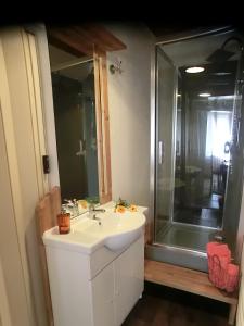ein Badezimmer mit einem weißen Waschbecken und einer Dusche in der Unterkunft Le gîte du familistère in Guise