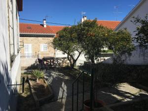an orange tree in the courtyard of a house at Casa da Vila in Penamacor