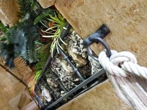 a hose hooked up to a wall with plants at Palacio Antigua Audiencia in Ciudad-Rodrigo