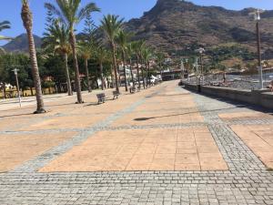 a cobblestone street with palm trees and a mountain at Casa do Forte in Machico