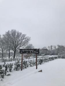 Agriturismo L'Ulivo v zimě
