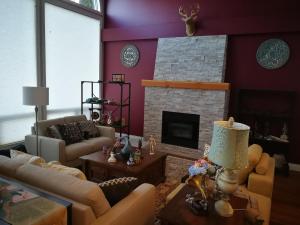 a living room with a couch and a fireplace at Lakeview Oasis Bed and Breakfast in West Kelowna