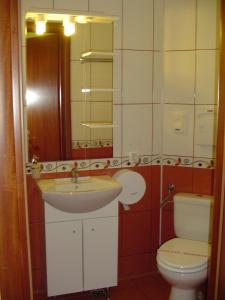 a bathroom with a sink and a toilet and a mirror at Hotel Europa in Ploieşti