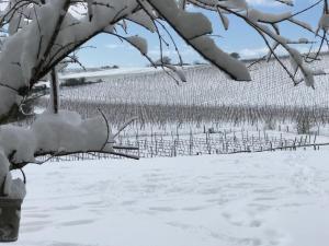 Borgo del Gelso during the winter
