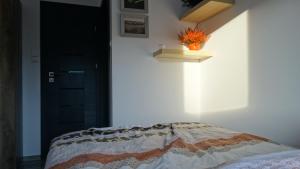 Легло или легла в стая в Walbrzych - przytulne, nowe mieszkanie