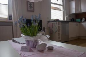Küche/Küchenzeile in der Unterkunft Stadtflucht Lüneburg: Ferienwohnungen Innenstadt