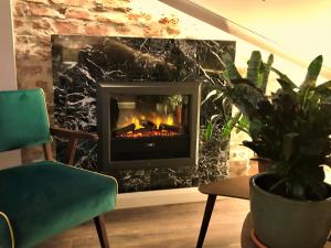 a living room with a fireplace and a plant at SLEEPWELL NOWY ŚWIAT - wejście przez dziedziniec - brama Ordynacka 14 in Warsaw