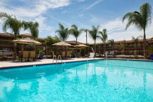 a large swimming pool with chairs and umbrellas at Best Western University Inn Santa Clara in Santa Clara