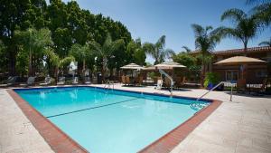 a large blue swimming pool with chairs and umbrellas at Best Western University Inn Santa Clara in Santa Clara