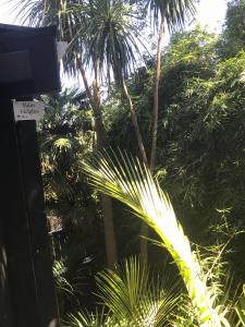 Zahrada ubytování Palm Heights